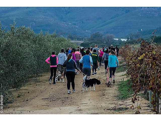 2016-06-05 16.07.11.jpg - Imbuko Wines image 2016-06-05 16.07.11.jpg - Imbuko Wines image