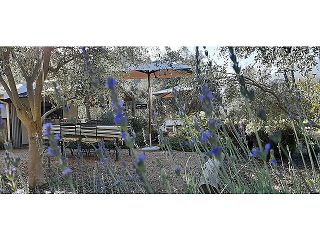 coffee garden.jpg - Owls Rest ZA image coffee garden.jpg - Owls Rest ZA image