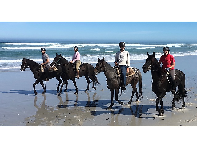 Paarl_WineValleyAdventures.jpg - Wine Valley Adventures image Paarl_WineValleyAdventures.jpg - Wine Valley Adventures image