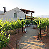 Esona Boutique Wine Estate photo