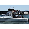 Ivanhoe Sea Safari's photo