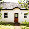 PLUM TREE COTTAGE photo