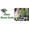 Ceres Bonsai photo