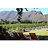 Montagu Vines photo