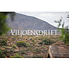 Viljoensdrift Fine Wines & River Cruises photo