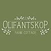 Olifantskop Cottage photo