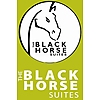 Black Horse (Iconic Luxury Apartments) photo