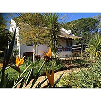 liesbeth Schouteden photo