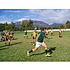 Wellington Rugby Club  photo