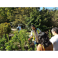 Franschhoek Medicinal Garden image