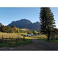 Le Pommier Wine Estate image