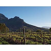 Le Pommier Wine Estate image