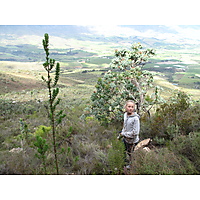 Secret Falls Tulbagh image