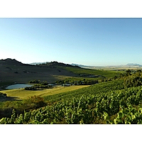 Rhebokskloof Wine Estate image