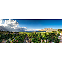 Slanghoek Winery image