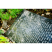 Anglo-Boer War Memorial image