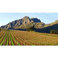 Oldenburg Vineyards image