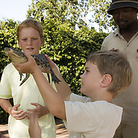 Le Bonheur Reptiles & Adventures image