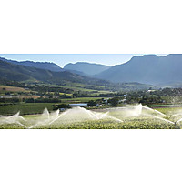 Wellington Wines at Bovlei  image