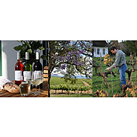 Jacaranda Wine and Guestfarm image