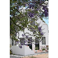 Jacaranda Wine and Guestfarm image