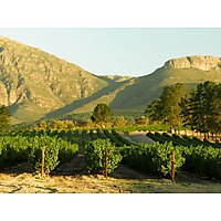 Diemersfontein Wine and Country Estate image
