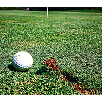 Wellington Golf Club  image