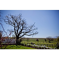 Under Oaks Wine Farm image