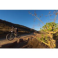 Two Tunnel MTB Trail image