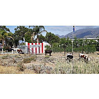 Veldskoen Farm Stall image