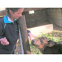 Hex River Educational Centre image