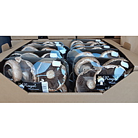 Royal Mushrooms image