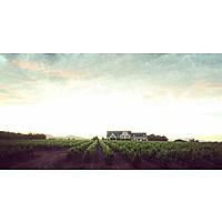 Cana Vineyard Guesthouse image