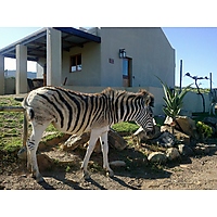 Amathunzi Game Lodge image