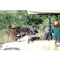 Inverdoorn Private Game Reserve image