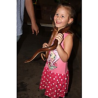 The Animal Sanctuary @ Butterfly World image