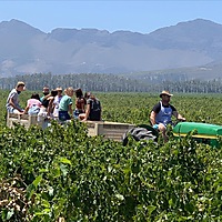 Freedom Weekend Market image