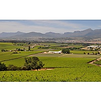 Wine Tours Cape image