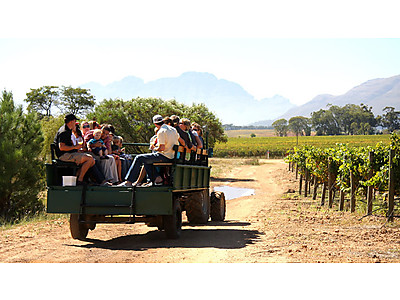 cellar tours.jpg - Afri Vista (Winelands Tours) image