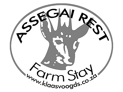 Assegai logo large FINAL.jpg - Assegai Rest image