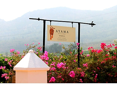 Ayama.jpg - Ayama Wines image