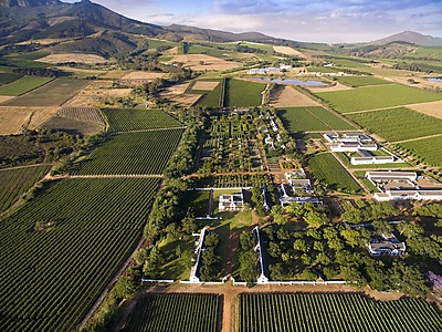 4.jpg - Garden at Babylonstoren image