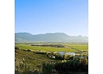 Badsberg.jpg - Badsberg Cellar image