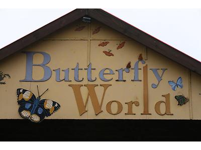 Buttefrly kids1.jpg - Butterfly World Tropical Garden image