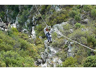 1329978596_W2SSA_Ceres-Zipslide-Tour-Where2Stay.jpg - Ceres Zipslide Adventures image