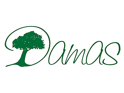 Damaslogo.gif - Damas image