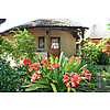 chalet garden.JPG - De Vlei Country Inn image