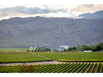 Du Toitskloof.jpg - Du Toitskloof Cellar image