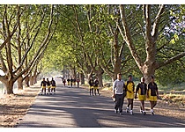 GN4P9199.jpg - Dwarsrivier Tourism image