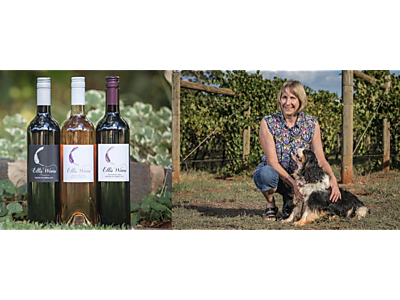 Screenshot 2025-07-22 at 07.08.26.png - Ellis Wines image